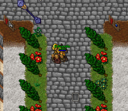 Play OTserver - Crie seu OTserver de Tibia - Várias Versões