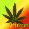 Junper