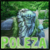 poleza370